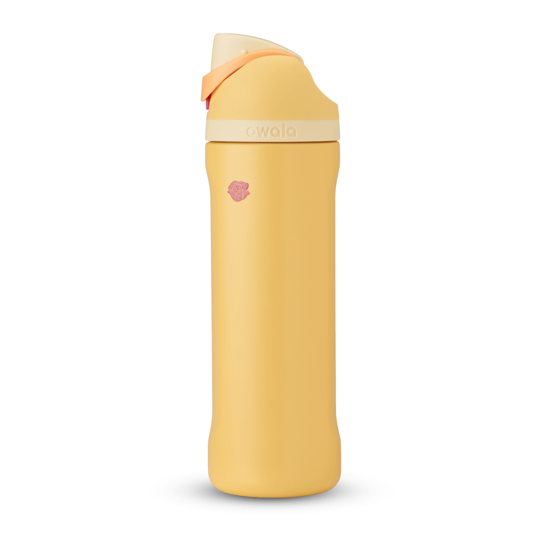 Disney Princess Collection Water Bottle CI6IK