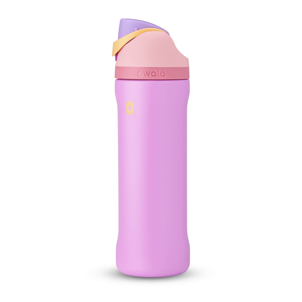 Disney Princess Collection Water Bottle CI6IK