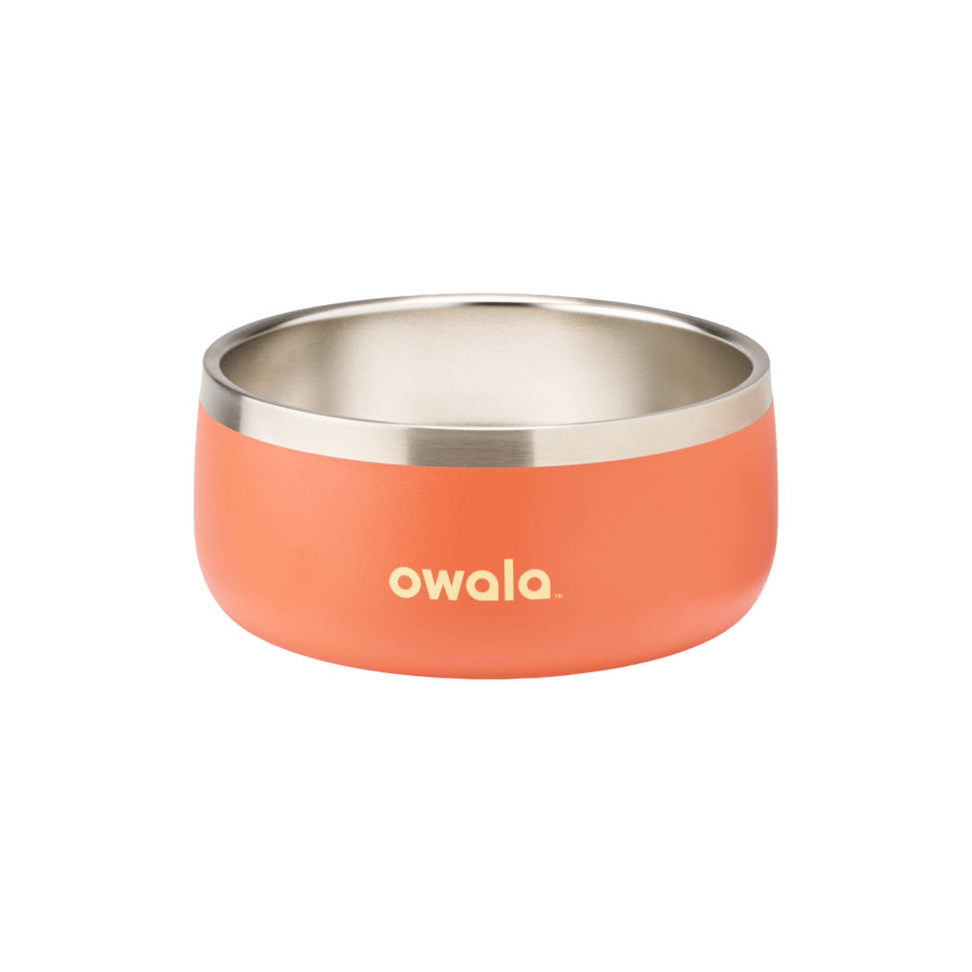 Pet Bowl Water Bottle 85XWQ