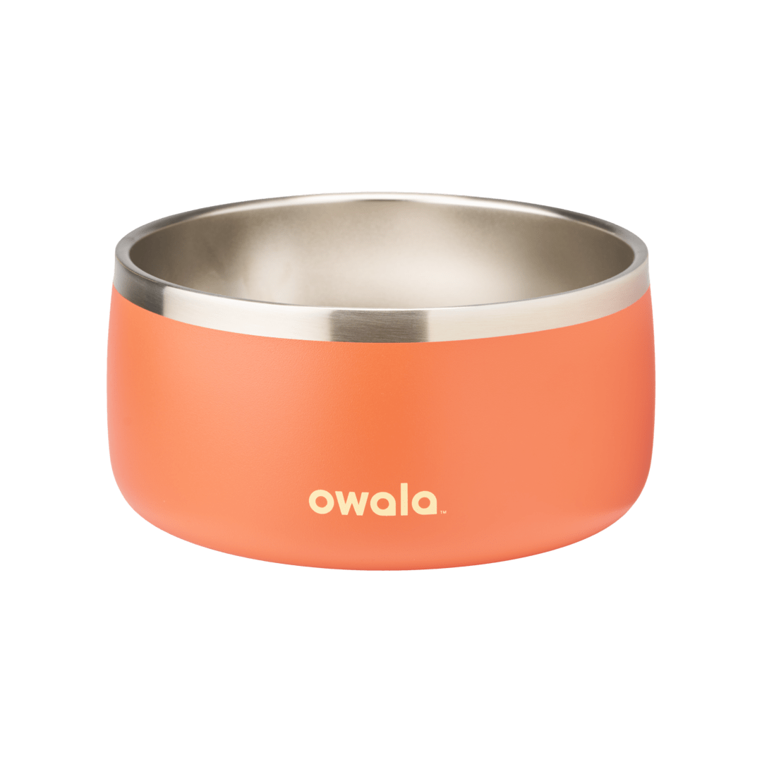 Pet Bowl Water Bottle 85XWQ