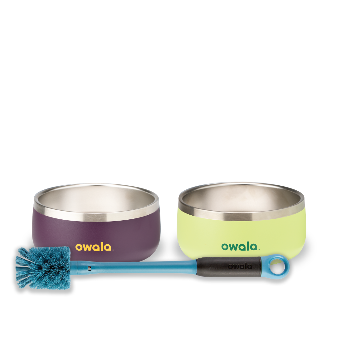 Pet Bowl Bundle Water Bottle JQQP40