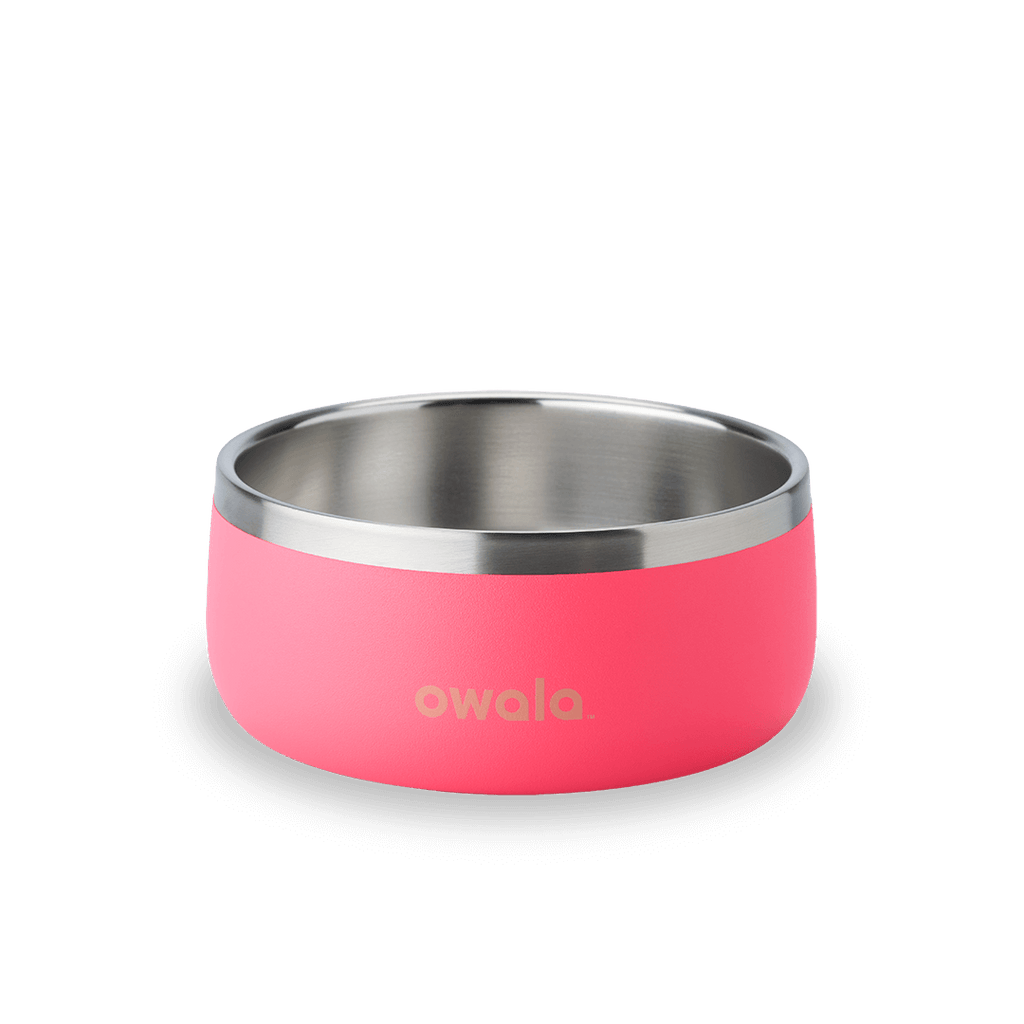 Pet Bowl Water Bottle 85XWQ