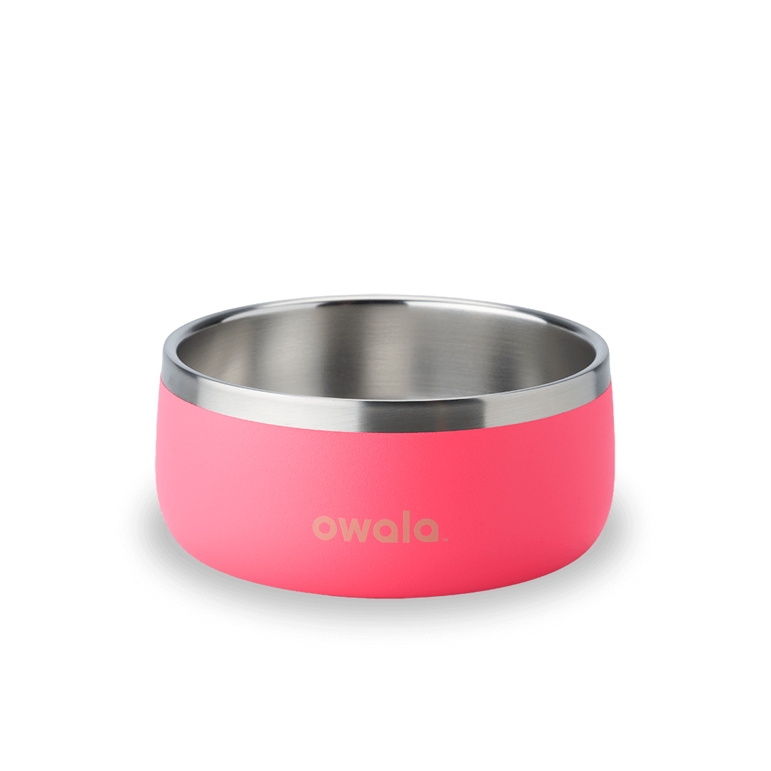 Pet Bowl Water Bottle 85XWQ