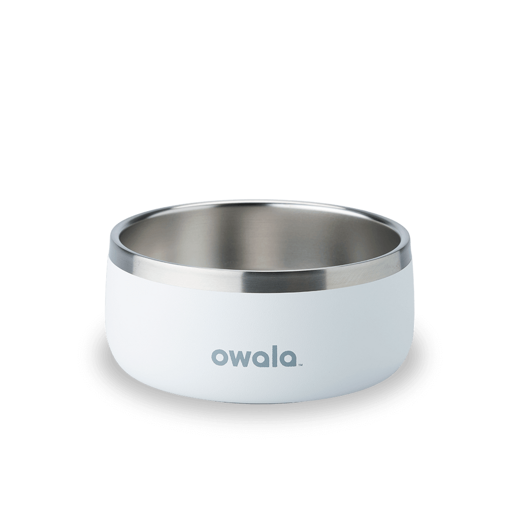 Pet Bowl Water Bottle 85XWQ