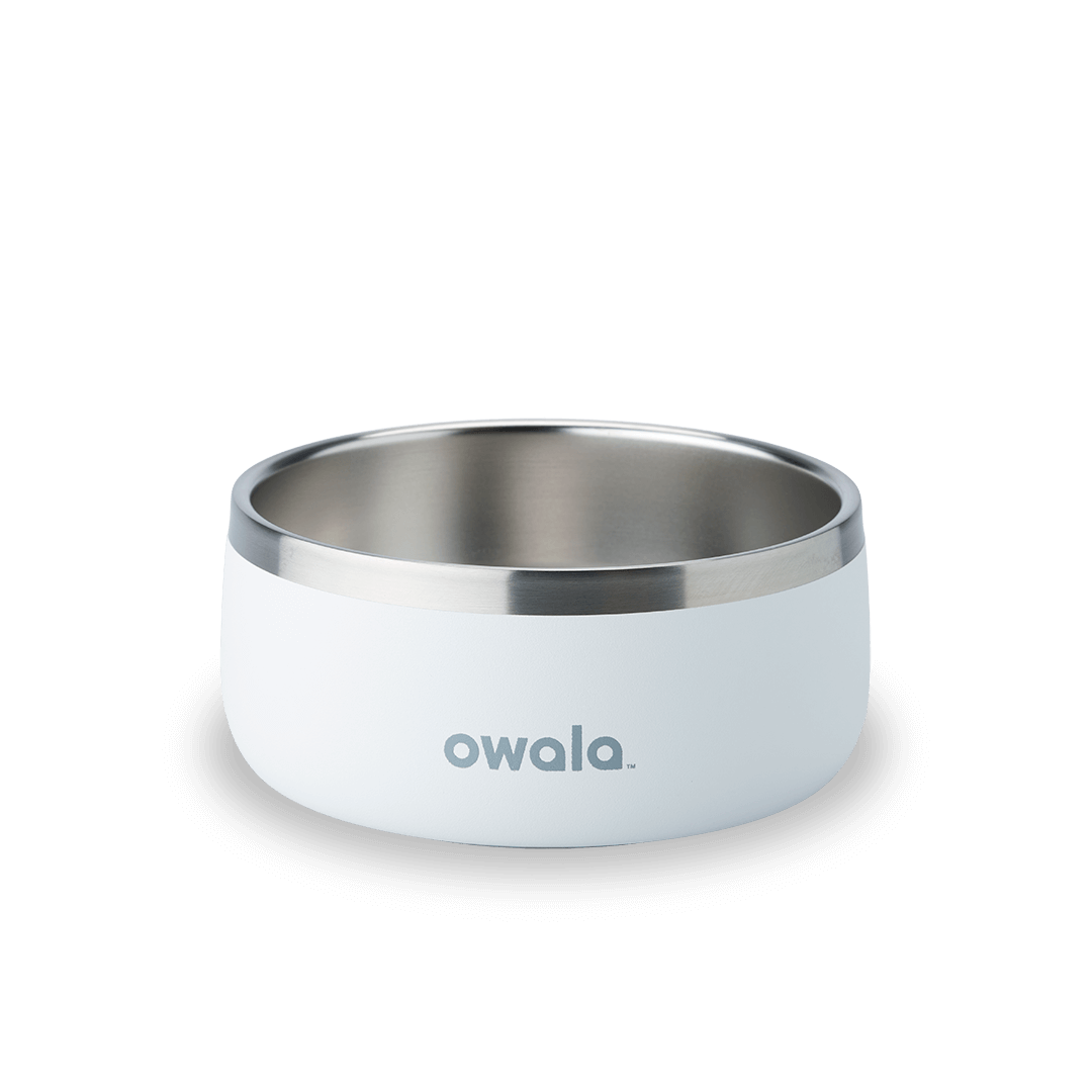 Pet Bowl Water Bottle 85XWQ