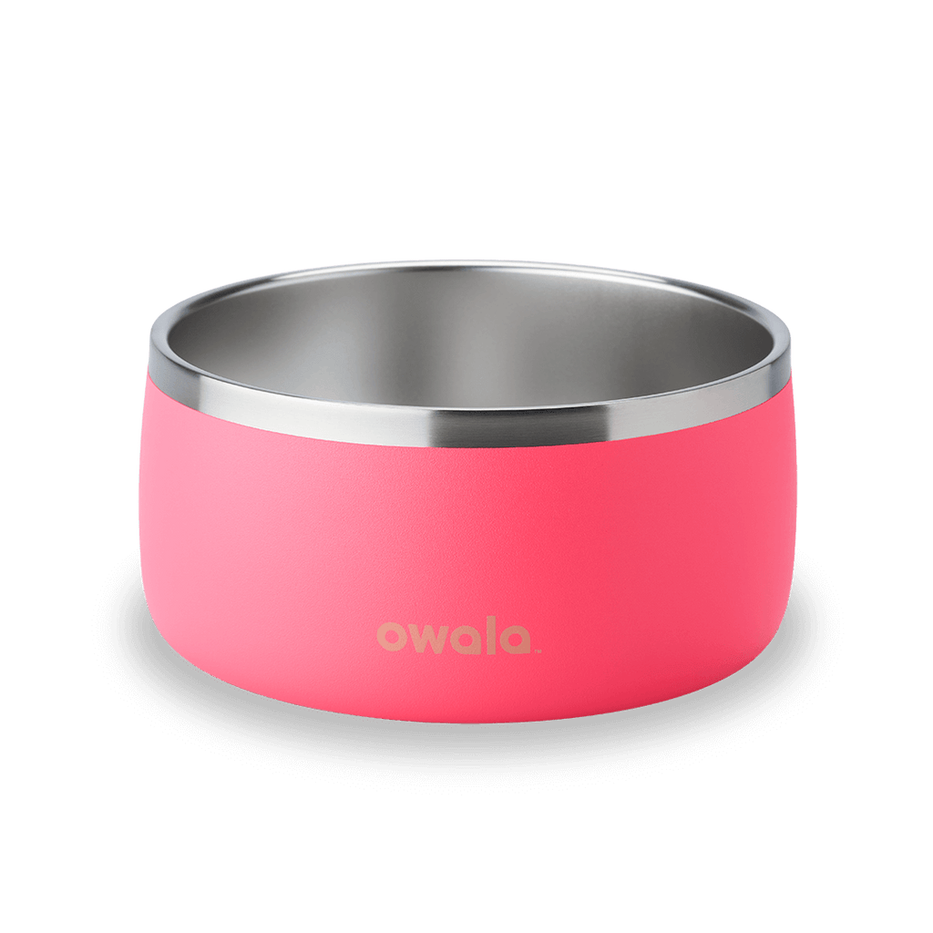 Pet Bowl Water Bottle 85XWQ