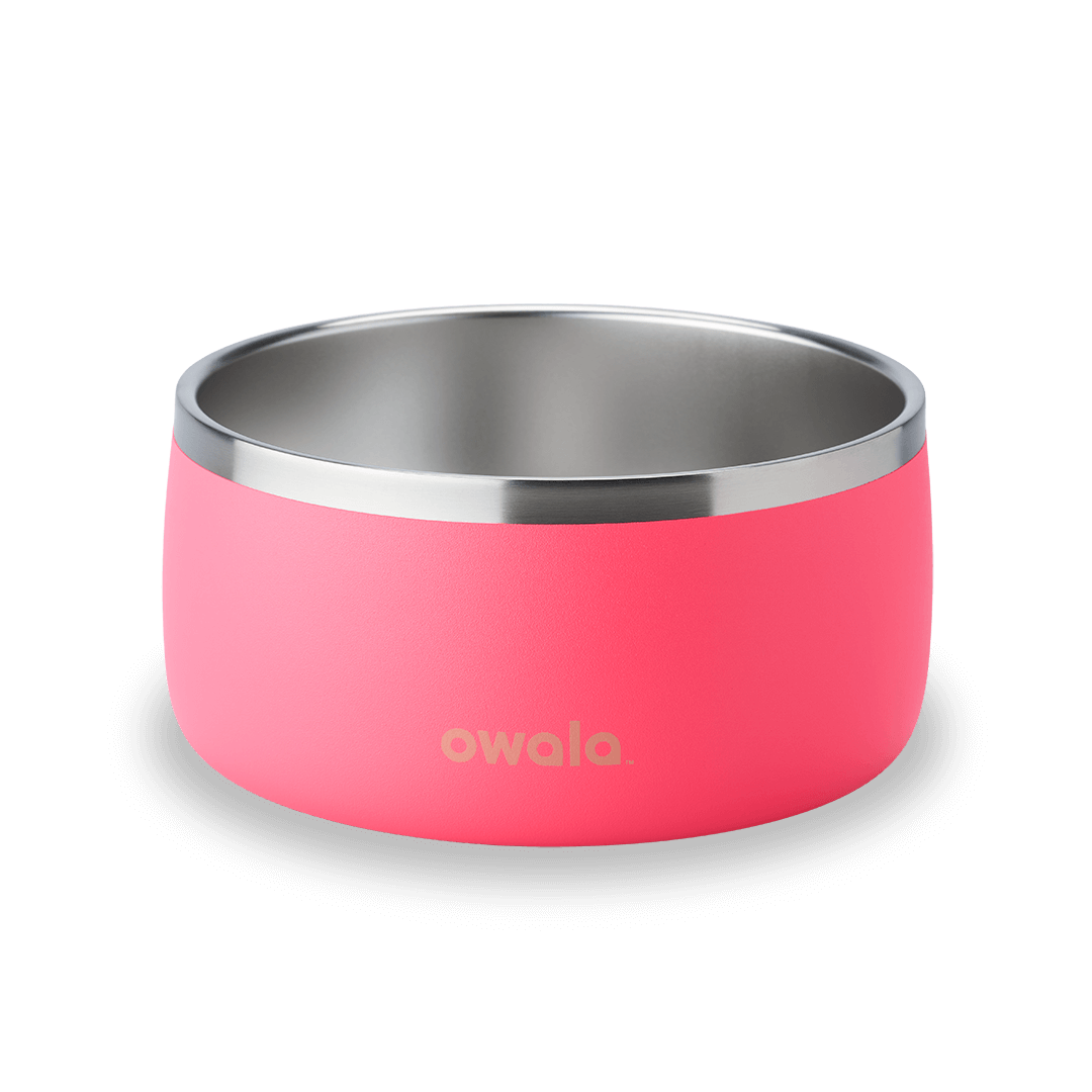 Pet Bowl Water Bottle 85XWQ